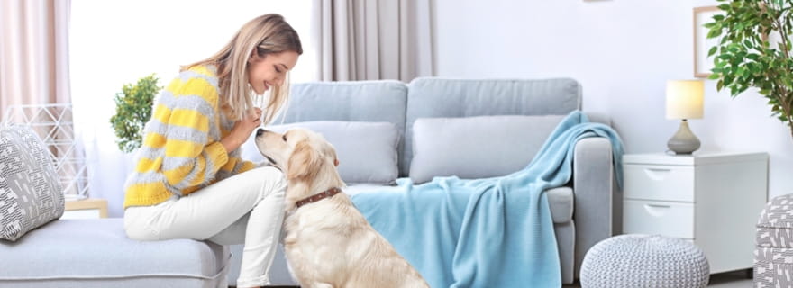 ¿Cubre el seguro de hogar los daños ocasionados por mi mascota?
